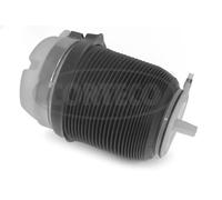 Air suspension bellow Rear Axle 49430533 CORTECO for AUDI A6 C6 A6 C6 Avant