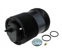 NTY Clothing Exchange Air Suspension Bellow EZC-AU-189 Rear Axle Left for Audi, Bentley
