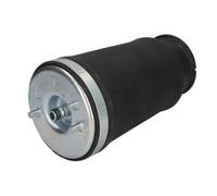 Magnum Technology MZB010MT Air Spring, suspension