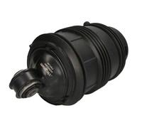 Magnum Technology MZM012MT Air Spring, suspension for MERCEDES-BENZ,MERCEDES-BEN