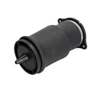 Magnum Technology MZM011MT Air Spring, suspension