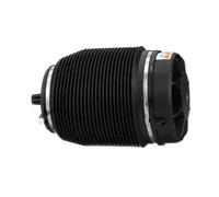 A-2960 Rear Right Left Air Suspension Spring Strut Shock Absorber By Arnott