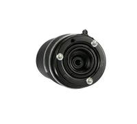 Arnott A-2933 Air Spring, suspension