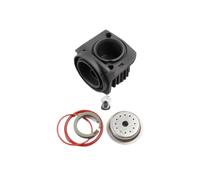Air Suspension Cylinder with Cover Ring 4L0698007 Compatible with WABCO Q7 A6C6 L322 Air Compressor Repair Kit(Audi Q7 A6C6 L322)