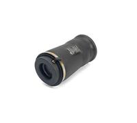 Arnott A-3010 Air Spring, suspension