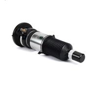 Air Suspension Stru ARNOTT EUROPE ASE-3821 for AUDI A6 C6 (4F2) 3 2004-2011