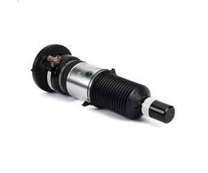 Air Suspension Stru ARNOTT EUROPE ASE-3821 for AUDI A6 C6 (4F2) 3 2004-2011