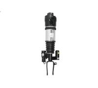 Air Suspension Strut ARNOTT EUROPE AS-2294 for E-CLASS (W211) 3 2005-2008