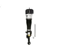 Air Suspension Strut ARNOTT EUROPE AS-2548 for S-CLASS (W221, V221) 3 2006-2013