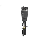 Arnott AS-2765 Air suspension strut