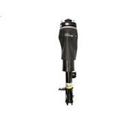 Air Suspension Strut ARNOTT EUROPE AS-2795 for RANGE ROVER III (L322) 4.2 2005-
