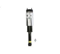 Arnott AS-2809 Air suspension strut