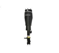 Air Suspension Strut ARNOTT EUROPE AS-2961 for RANGE ROVER III (L322) 3 2002-