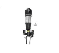 Air Suspension Strut ARNOTT EUROPE AS-3001 for E-CLASS (W211) 5 2003-2008