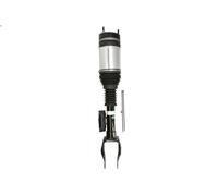 Air Suspension Strut ARNOTT EUROPE AS-3594 for GLS (X166) 3 2015-2019