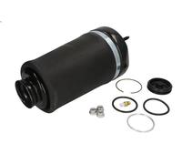 Air Suspension Strut MAGNUM TECHNOLOGY MZM009MT for CLS (C219) 3 2009-2010