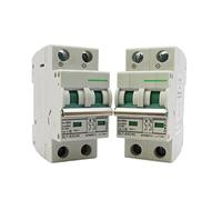 Air switches 10pcs 2 Pole 25A 32A 40A 50A 63A DC 550V MCB DC Circuit Breaker Solar Photovoltaic for Solar DC Switch (Size : 50A)