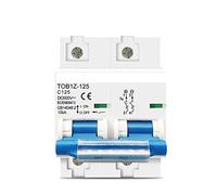 Air switches Circuit Breaker 2p 125A 100A 80ADC MCB 600V Circuit Breaker for PV System C Curve Battery Main Switch (Size : 100A)