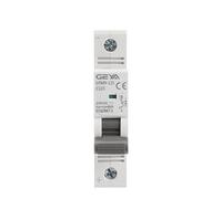 Air switches Circuit Breaker DC MCB 80A 100A 125A 6KA 1p 250VDC Mini Circuit Breaker Din Rail DC Breaker Gym9-125 (Color : 125a, Size : 1 Pole 250VDC)