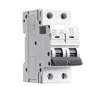 Air switches Circuit Breaker Gym9 2p 6ka Breaking Capacity MCB Din Rail Mini Circuit Breaker 6a-63a AC Typ (Color : 25a, Size : 2 Pole C Curve)