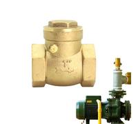 Air Test Valve Non-Return Float Internal Thread Brass Swing Valve, Plumbing Parts Equipment, Backflow Prevention for Home, Business, Waterline, Durable Pipe Connection, Reliable