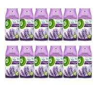 Air Wick Freshmatic & AirPure Auto Spray Refills 250ml (Pack of 12) - Purple Lavender Meadow Scent for Continuous Freshness