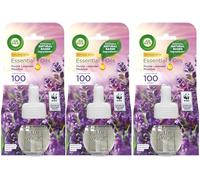 Air Wick Plug in Diffuser Refill, Purple Lavender Meadow, Pack 3 x 19ml, Long Lasting Fragrance, Lasts up to 400 days, Plug in Air freshener | Packaging May Vary