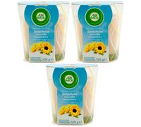 Air Wick Scented Candle Summer Breeze 3 X 105g -duftet On Summer Air Freshener