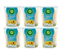 Air Wick Scented Candle Summer Breeze 6 X 105g -duftet On Summer Air Freshener