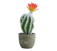 Airbirhom Cactus Artificial Plants,Artificial Cactus Potted,Small Faux Cactus Plants Indoor Decor for Home,Office,Kitchen,Living Room,Desk,Shelf（Orange Flower）