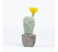 Airbirhom Cactus Artificial Plants,Artificial Cactus Potted,Small Faux Cactus Plants Indoor Decor for Home,Office,Kitchen,Living Room,Desk,Shelf（Yellow Flower）