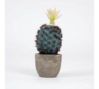 Airbirhom Cactus Artificial Plants,Artificial Cactus Potted,Small Faux Cactus Plants Indoor Decor for Home,Office,Kitchen,Living Room,Desk,Shelf（White Flower）