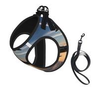 Aircraft Fighter Jets print Dog Harness, 2X Buckle,Dog Vest,No Pulling Front Leash Clip,for Small Medium Dogs