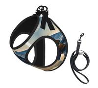 Aircraft Fighter Jets print Dog Harness, 2X Buckle,Dog Vest,No Pulling Front Leash Clip,for Small Medium Dogs