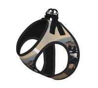 Aircraft Fighter Jets Print Harness Leash Set For Cat Dog, Reflective Adjustable Escape-Proof Vest Lead With Soft Breathable Mesh, For Small Pets And Kitten Puppy