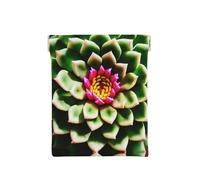 Aircraft Plane At Sunset Print Leather Coin Purse, Small Change Pouch Wallet,Squeeze Coin Purse Pouch For Men Women, Blooming Cactus Flower, One Size, Fashion