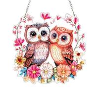 AIRDEA DIY Two Owls Diamond Art Ornament Kit for Adults, Double-Sided Flowers Tree Branch Diamond Painting Hanging Kit, DIY Acrylic Special Shaped Drills Hanging Suncatcher 8x8 inch