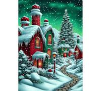 AIRDEA Green Aurora Diamond Art Kits Adults, 5D DIY Snowy Village Scene Diamond Painting Kit, Full Drill Gem Arts and Crafts for Adults for Home Wall Decor 30x40 cm