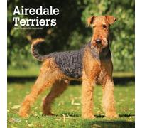 Airedale Terriers 2027 Square Flap by Browntrout (Calendar)