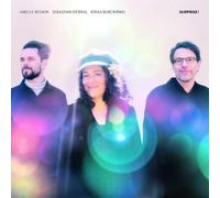 Airelle Besson, Sebastian Sternal & Jonas Burgwinkel – Surprise! – Vinyl – Broken Silence