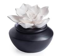 Airomé White Flower, Porcelain Passive Essential Oil Diffuser (with 15ml Peppermint Essential Oil) - Non-Electric, Battery-Free, Improves Sleep, and Relieves Stress