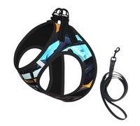 Airplane Cockpit Print Dog Harness with Leash Set with Thickened Padded Vest for Extra-Small/Small Medium Dogs