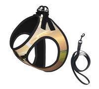 Airplane Compact Pet Suspender Vest-The Perfect Small Pet For A Comfortable Walk
