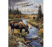 Airplane Forest Jigsaw Puzzle 2000 Piece, Puzzles for Adults 2000, The Impossible Challenge, Jigsaw Puzzle Games Classic Educational, Wooden Puzzles, for Home Wall Decoration Gift FNKL1-305