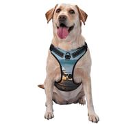 Airplane in The Evening Light Pet Traction Vest Vest Harness Dog Harness Medium Sized Dog Pet Supplies Outdoor Travel Dog Walking