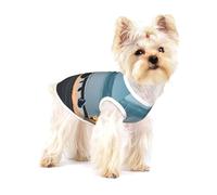 Airplane in The Evening Light Print Lightweight Tank Top for Dogs Dog Shirts for Small Dogs Stretchy T Shirts Sleeveless Vest