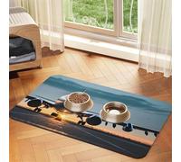 Airplane in The Evening Light Print Pet Food Mat Absorbent Non Slip PU Leather Feeding Mat for Dogs Cats Rubber Bottom