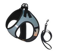 Airplane In The Evening Light Print Pet Leash Vest Reflective Adjustable Soft Mesh Vest Breathable For Daily Walks