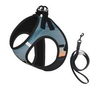 Airplane in The Evening Light Print Small Dog Harness with Leash Set, No Escape Easy Walk Puppy Harnesses for Training Walking