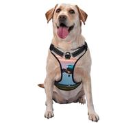 Airplane in The Evening Lights Pet Traction Vest Vest Harness Dog Harness Medium Sized Dog Pet Supplies Outdoor Travel Dog Walking